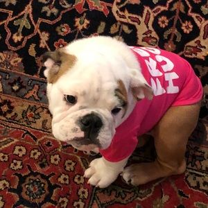 Meet your Posher, Patty